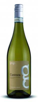 Custoza Superiore DOC SUMMA (Gorgo) - Weißwein aus Italien